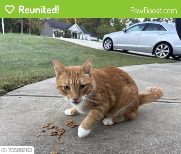 Reunited Unknown Cat last seen Christ Church in Clayton NC, 27520, Clayton, NC 27520