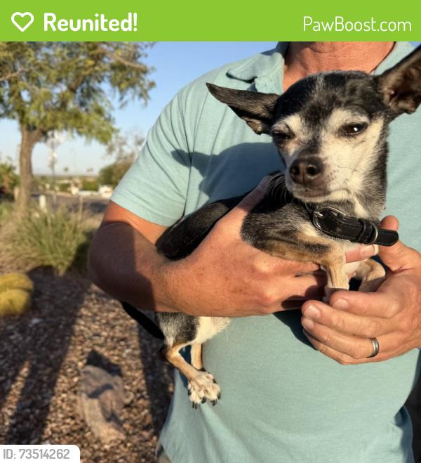 Reunited Male Dog last seen Piestewa Peak & Lincoln, Phoenix, AZ 85016