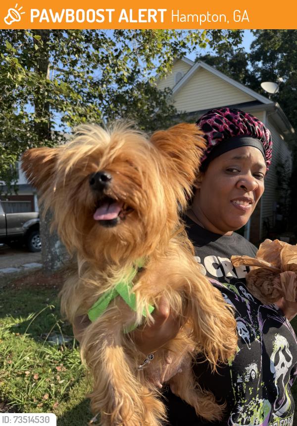 Found/Stray Female Dog last seen Near James Madison Drive, Hampton, GA 30228
