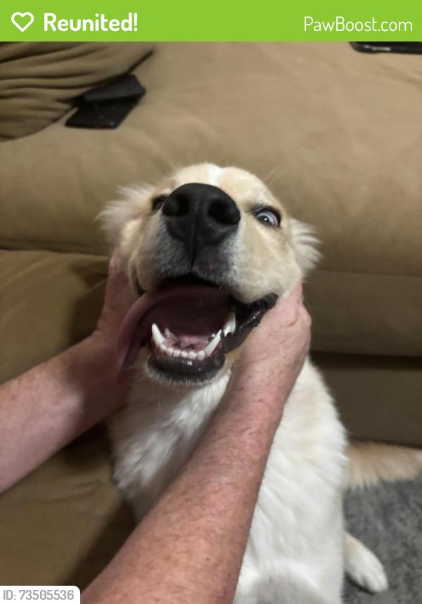 Reunited Female Dog last seen 122nd and Tamarac st, Thornton, CO 80602