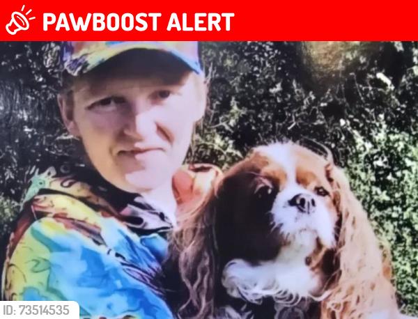 Lost Female Dog last seen Pleasington cemetrey, Pleasington, England BB2 5JH