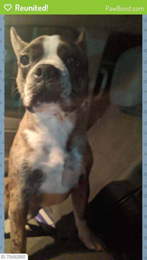 Reunited Male Dog last seen Bird Road, Oakland County, MI 48462