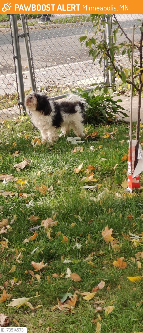 Found/Stray Unknown Dog last seen Near Plymouth ave N, Minneapolis, MN 55411