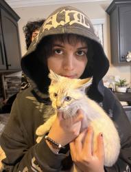 Lost Male Cat last seen Near cedar griove, Saratoga Springs, UT 84045