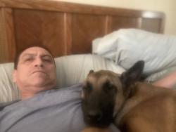 Lost Female Dog last seen Camelback and Dysart, Litchfield Park, AZ 85340