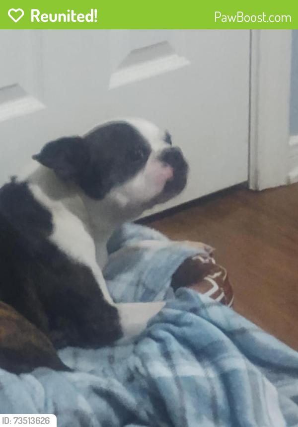 Reunited Male Dog last seen S 3rd st, Copperas Cove, TX 76522