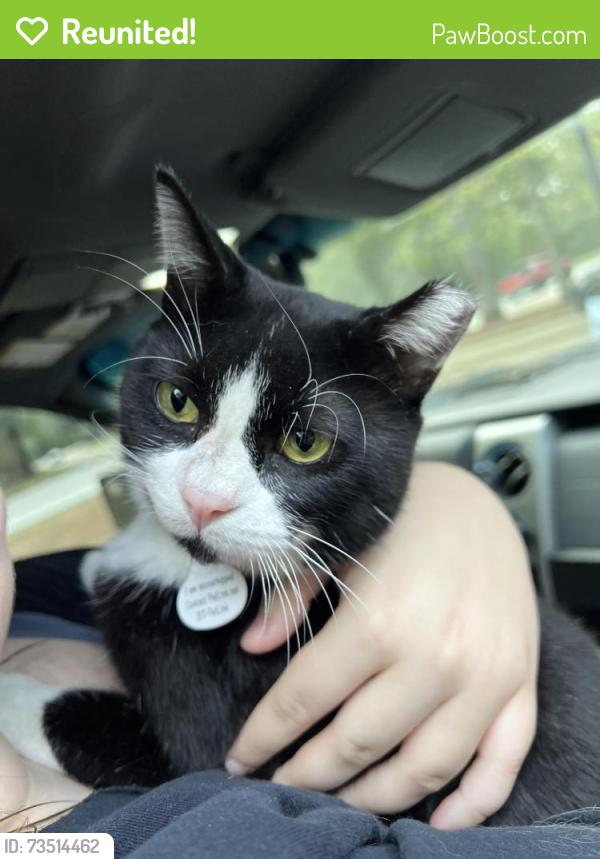 Reunited Male Cat last seen Russell Palmer, Kingwood, TX 77339