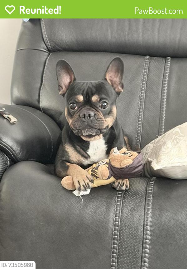 Reunited Male Dog last seen Jamacha, Spring Valley, CA 91977