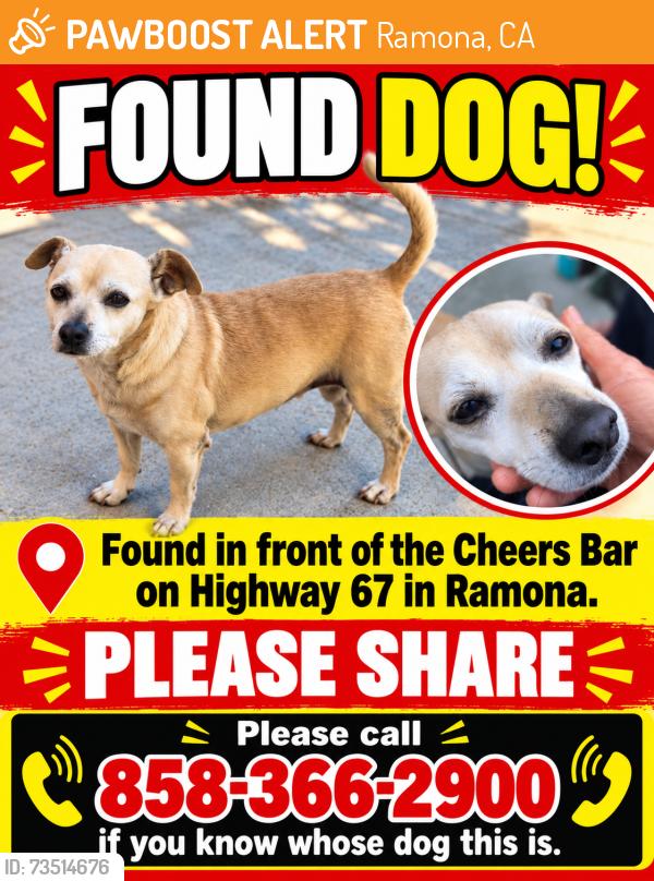 Found/Stray Male Dog last seen Eetchevery / highway 67 by Cheers bar, Ramona, CA 92065