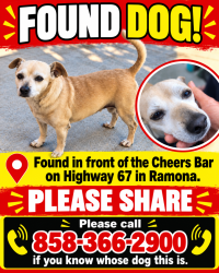 Found/Stray Male Dog last seen Eetchevery / highway 67 by Cheers bar, Ramona, CA 92065