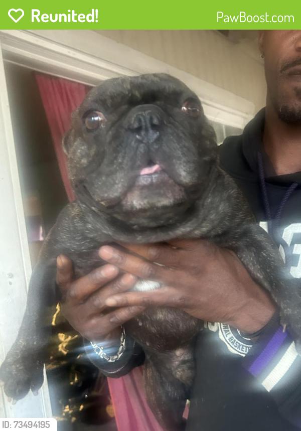Reunited Male Dog last seen Del paso rd and Sorento rd, Sacramento, CA 95835