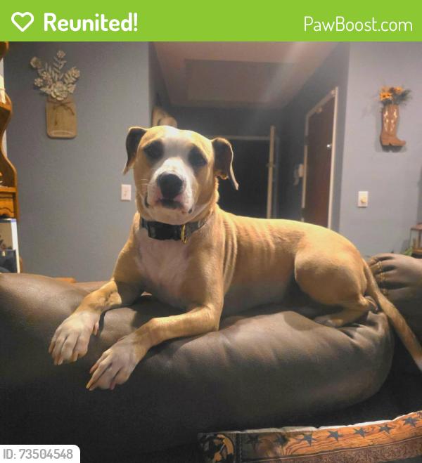 Reunited Male Dog last seen Sisk, Salida, CA 95368