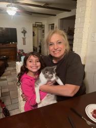 Lost Female Cat last seen West 6th st and Elaine, Irving, TX 75060