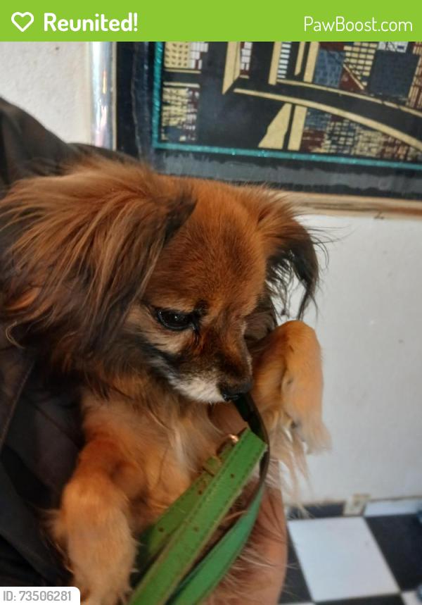 Reunited Male Dog last seen Near Robertson Rd Park, Modesto, CA 95351