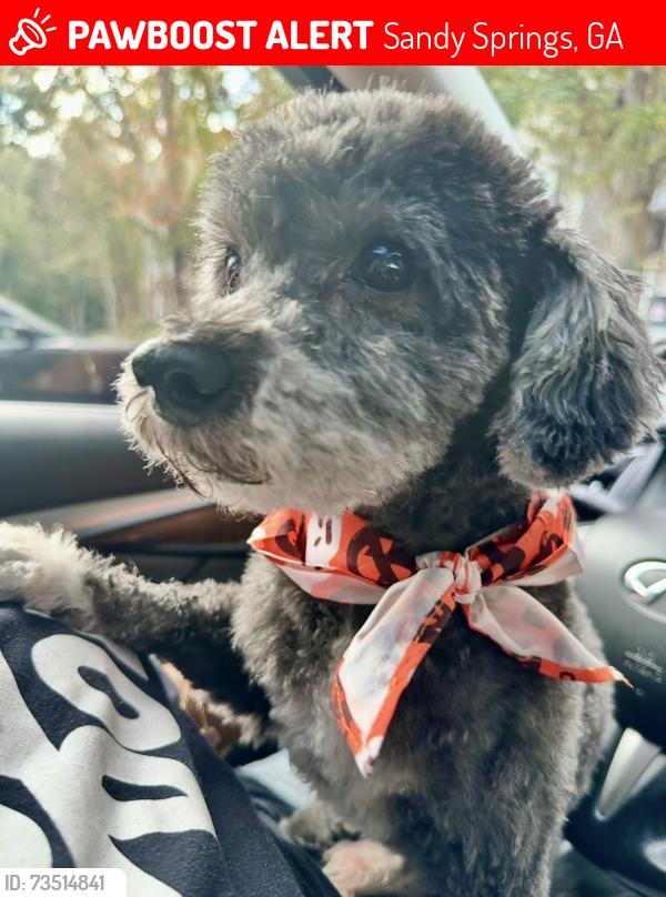 Lost Male Dog last seen Near Peachtree Dunwoody Rd., Sandy Springs, GA 30328