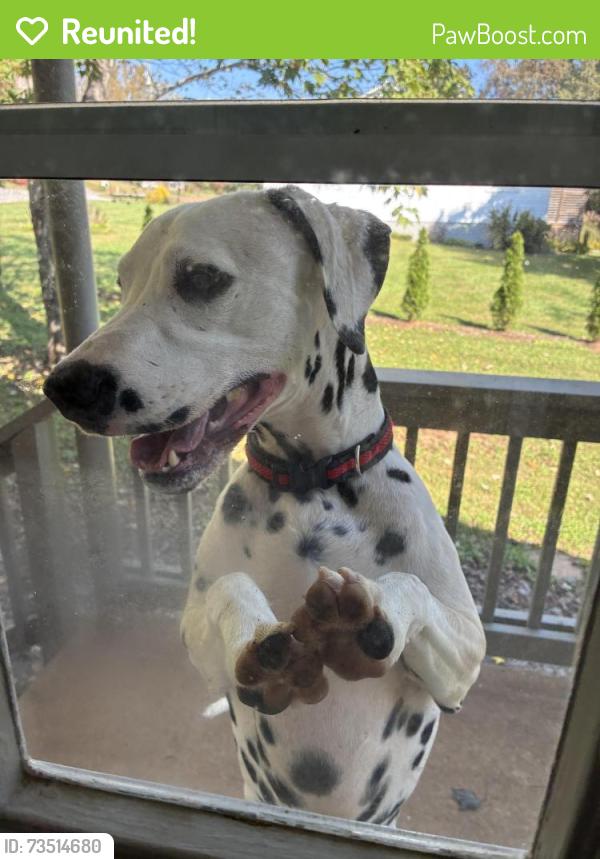 Reunited Male Dog last seen Tabernacle advent Christian church, Lenoir, NC 28645
