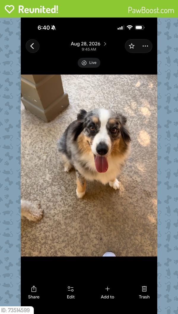 Reunited Female Dog last seen Chapel& Ritchie, Lorena, TX 76655