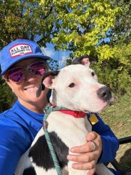 Shelter Stray Female Dog last seen grand & e 79, 3rd District, OH, 9203 Detroit Ave, Cleveland, OH 44102, USA
