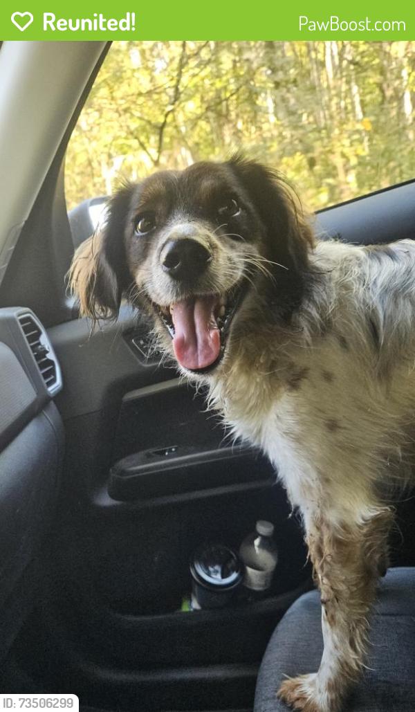 Reunited Male Dog last seen Near Old alabama Rd, McDonald, TN 37353