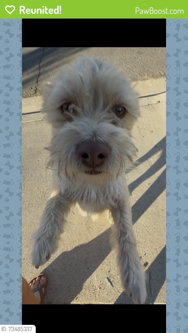 Reunited Male Dog last seen Somerdale st corona ca, Corona, CA 92879