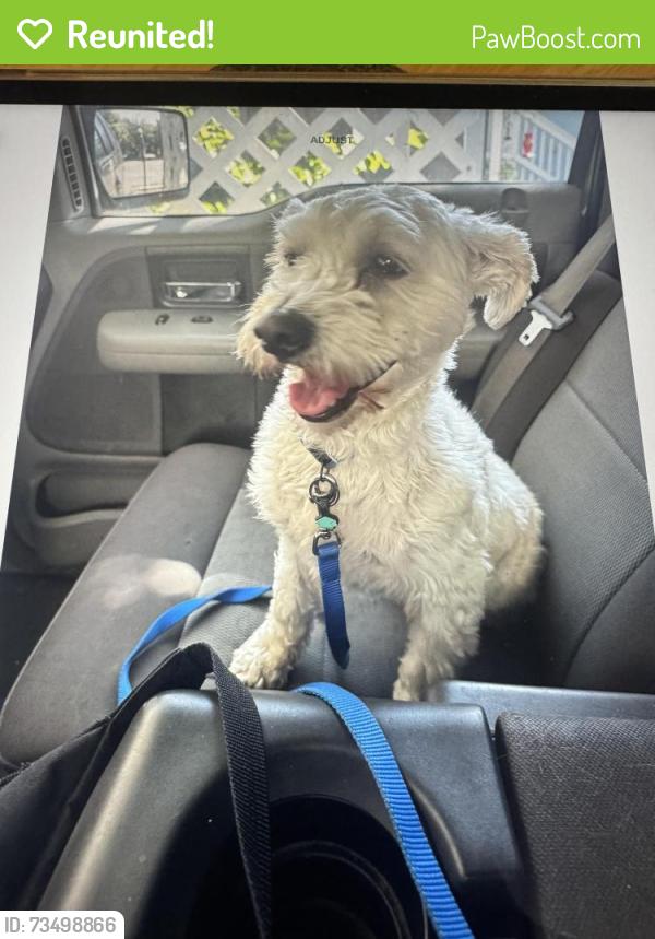 Reunited Male Dog last seen Mable, Modesto, CA 95355