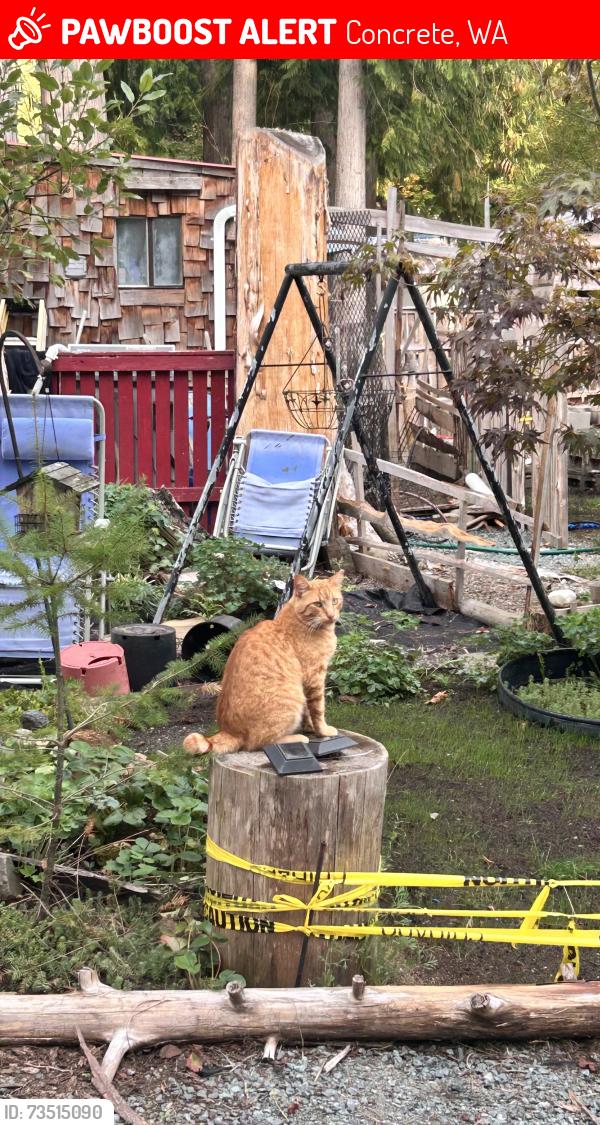 Lost Male Cat last seen Cedar Grove Park, Concrete, WA 98237