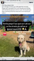 Reunited Male Dog last seen Bonita, Bonita, CA 91902