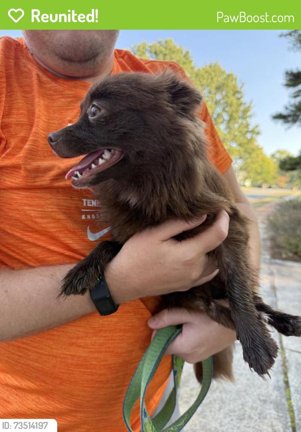 Reunited Female Dog last seen Near Saintphendale Dr, Charlotte, NC 28273, USA, Charlotte, NC 28273
