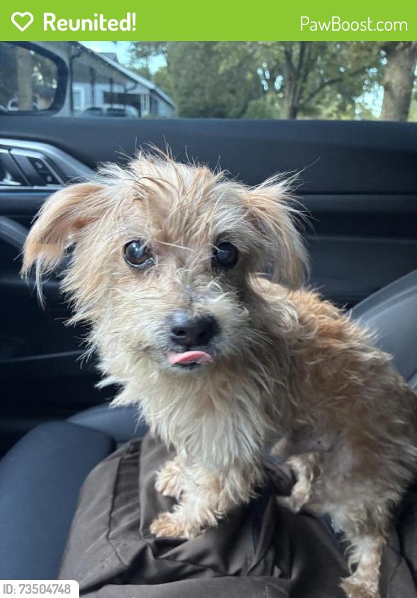 Reunited Male Dog last seen Robinwood Dr, Fort Worth, TX 76111, USA, Fort Worth, TX 76111