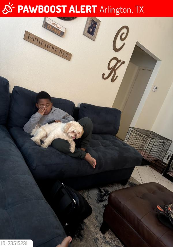 Lost Male Dog last seen Sublet and Royalcrest, Arlington, TX 76017
