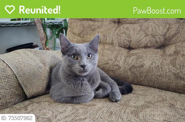 Reunited Female Cat last seen McKay Ave and Rothesay Street, Winnipeg, MB 