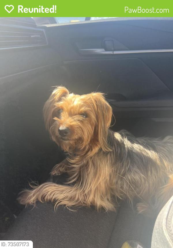 Reunited Unknown Dog last seen Freeway 99 ave48 near McFarland or Tulare county, Earlimart, CA 93219