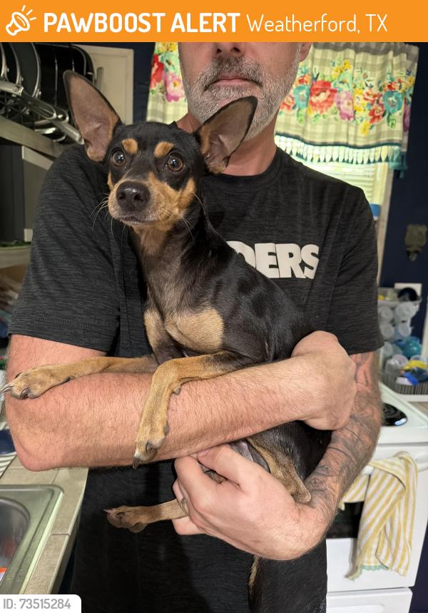 Found/Stray Male Dog last seen Mesquite Trl & Cimmaron Td, Weatherford, TX 76086