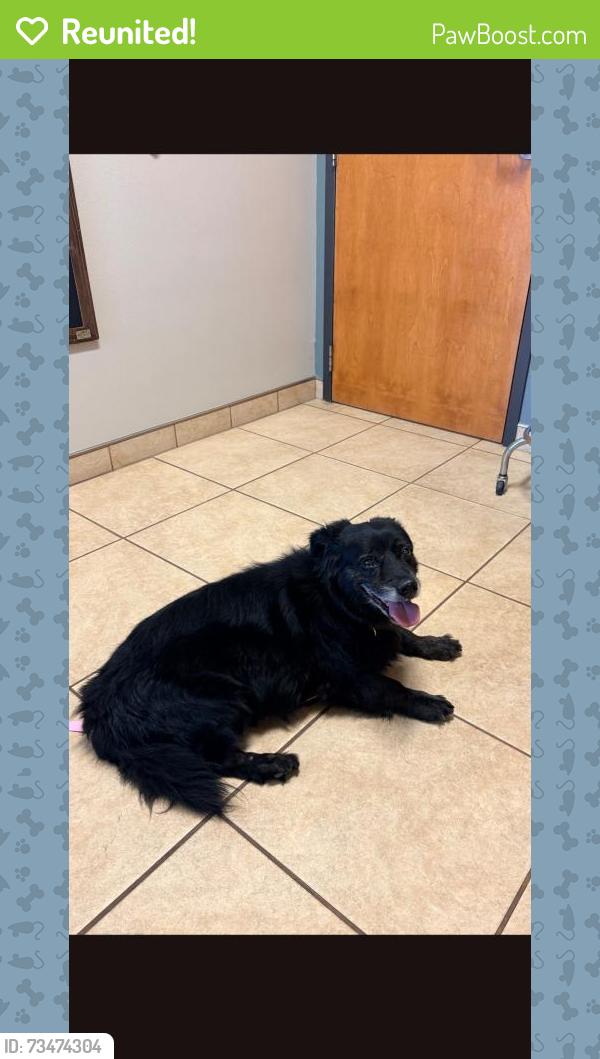 Reunited Male Dog last seen Near East Cozy, Springfield, MO 65804