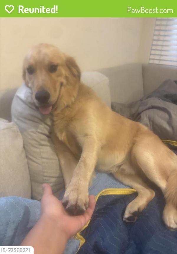 Reunited Male Dog last seen K & 4th st, Lancaster, CA 93535