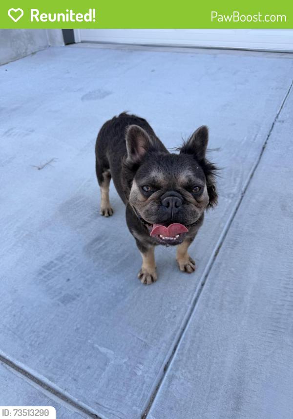Reunited Unknown Dog last seen Case Rd, Temple, TX, USA, Temple, TX 76508