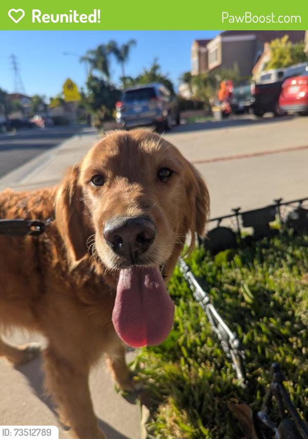 Reunited Male Dog last seen Reche Canyon elementary, Colton, CA 92324