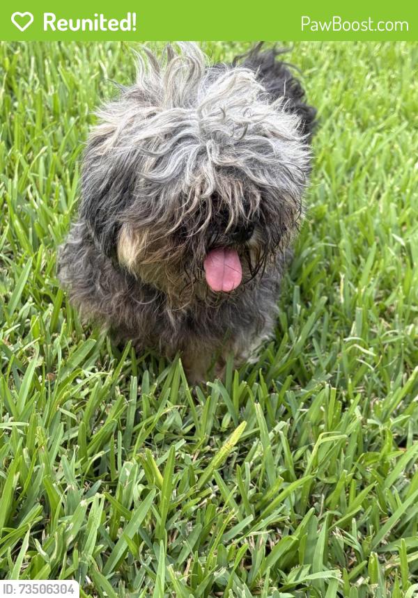 Reunited Unknown Dog last seen 12th Fairway Ln, Humble, TX 77346