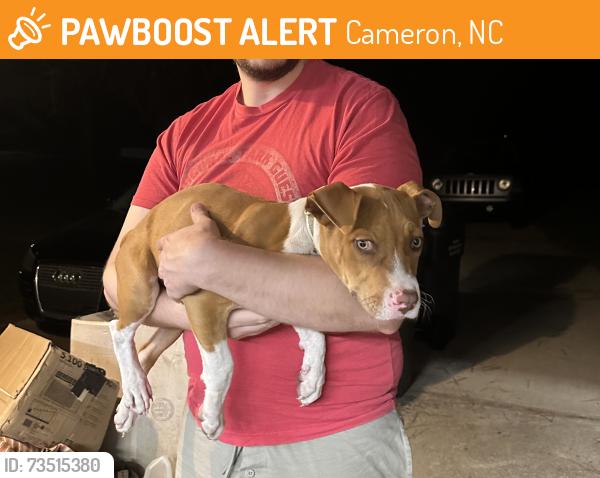 Found/Stray Male Dog last seen Johnsonville church, Cameron, NC 28326