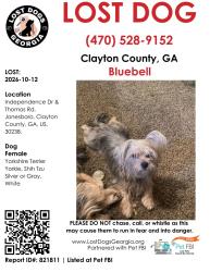 Lost Female Dog last seen Thomas rd, Jonesboro, GA 30238