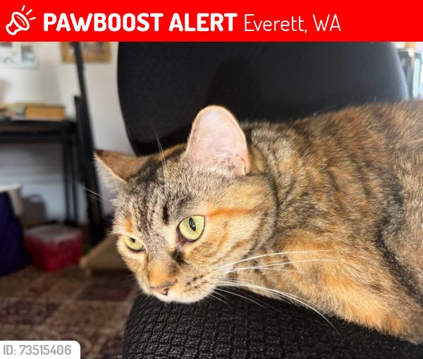 Lost Female Cat last seen Garfield Park, Everett, WA 98201