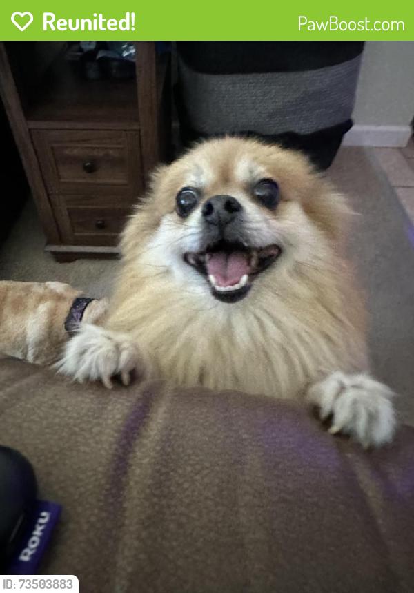 Reunited Female Dog last seen Tiogawoods/ Crystal Lake, Vineyard, CA 95828