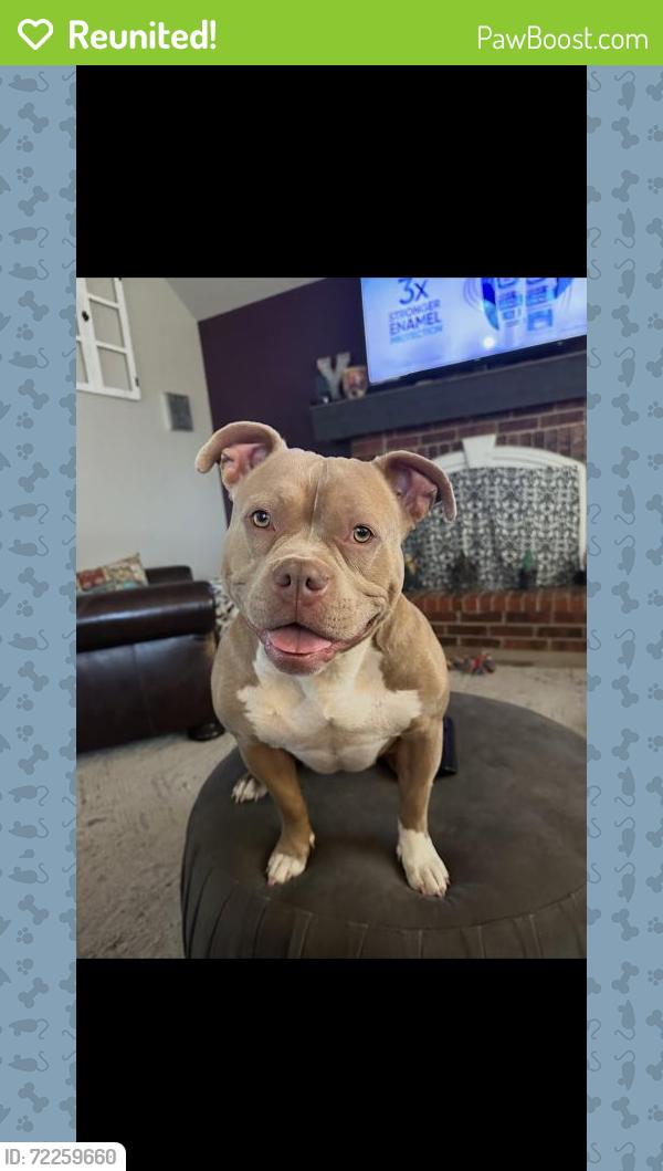 Reunited Female Dog last seen Near NW 129th St, Oklahoma City, OK 73142, USA, Oklahoma City, OK 73142