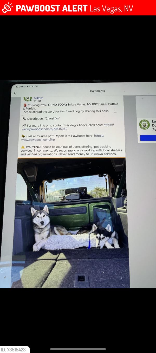 Lost Male Dog last seen Patrick abd villa lante, Las Vegas, NV 89113
