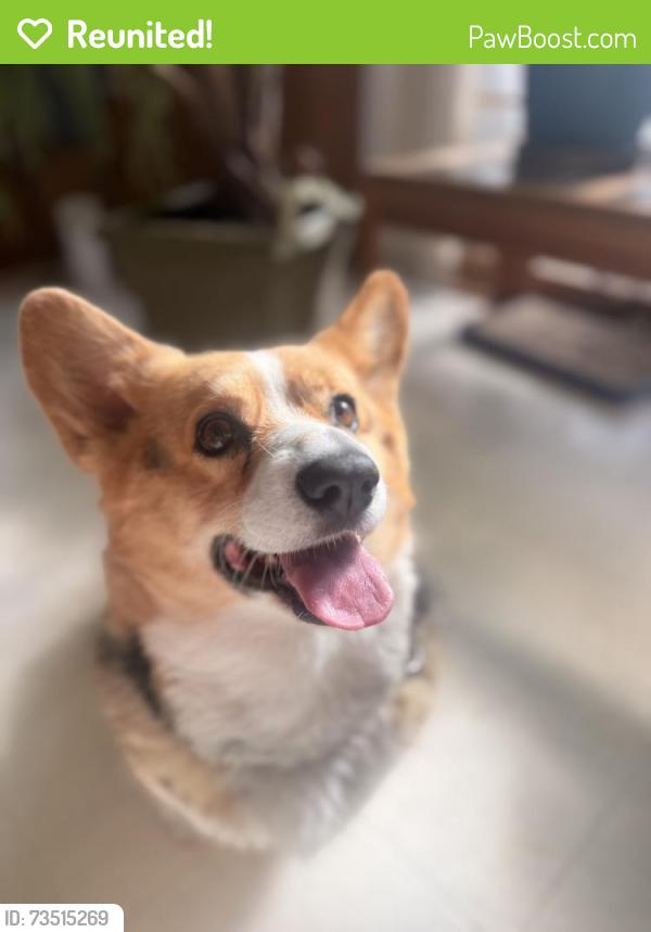 Reunited Male Dog last seen Near Owens Street North, Stillwater, MN 55082