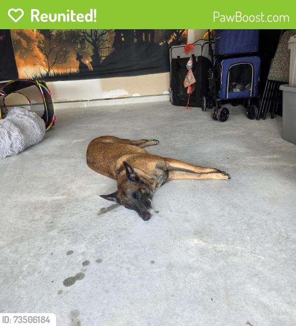 Reunited Female Dog last seen River Ranch, Dayton, TX 77535