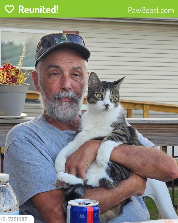 Reunited Male Cat last seen Rustic and Spring, Shippensburg, PA 17257