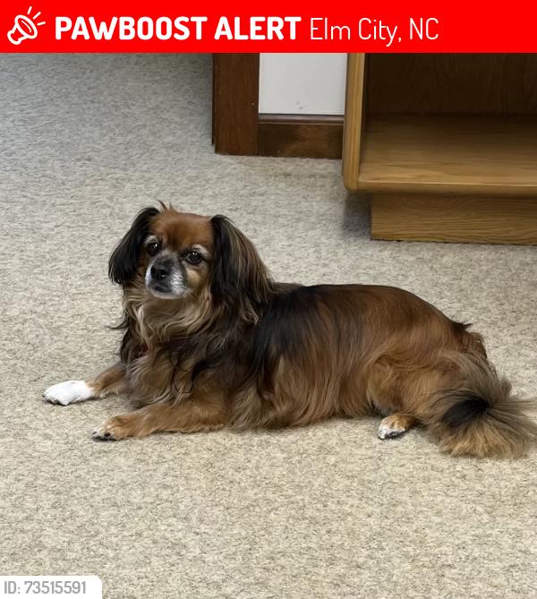 Lost Male Dog last seen Aaron Lane / Upchurch Rd, Elm City, NC 27822