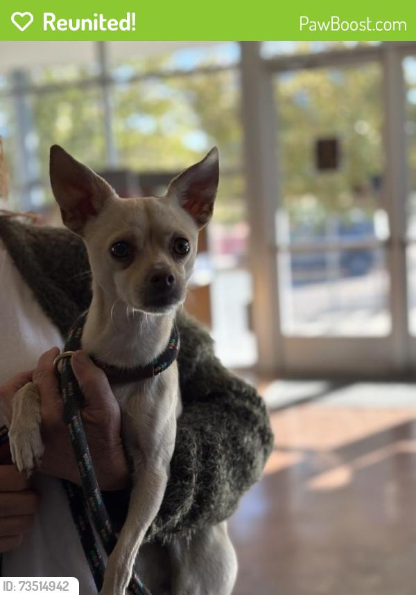 Reunited Male Dog last seen Near Galapago St, Denver, CO 80204
