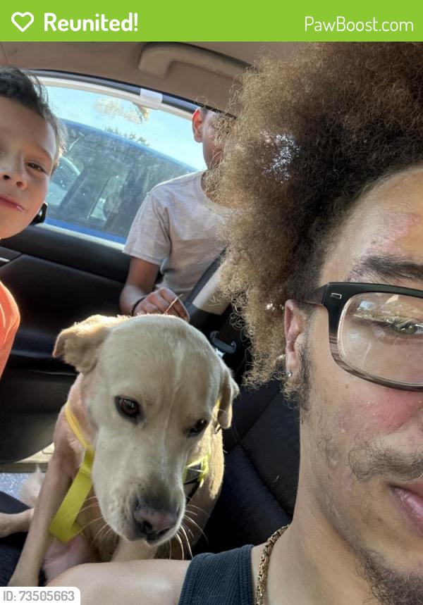 Reunited Male Dog last seen Fisher rd, strickland bridge area near shell gas station and family dollar/dollar general stores, Fayetteville, NC 28306